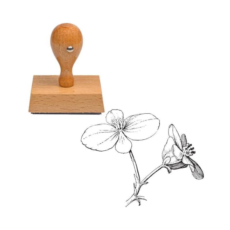 Tampon fleur bégonia — vue 1