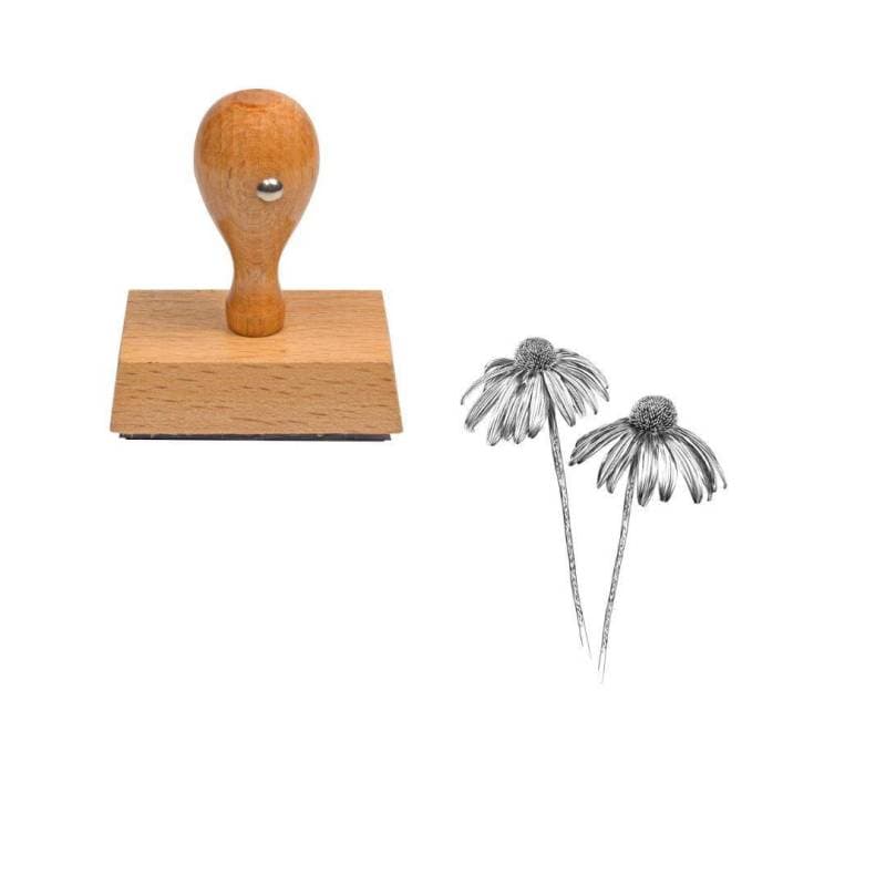 Tampon fleur echinacee — vue 1