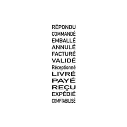 Tampon dateur multiformules 5117 — vue 2