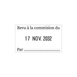 Tampon dateur 5430 en 4 mm à personnaliser 2 lignes — vue 4