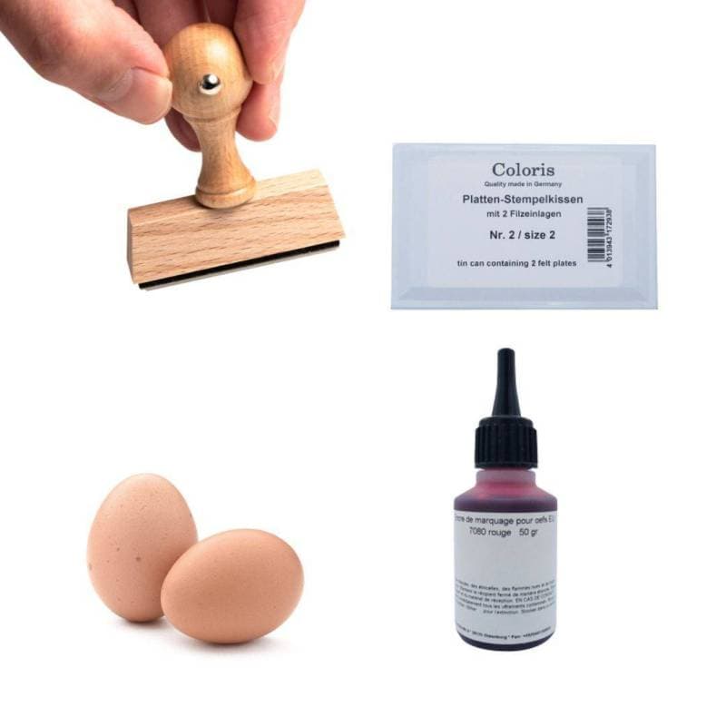 Tampon à personnaliser et encre pour les œufs