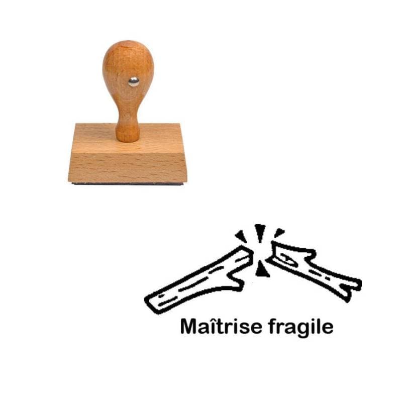 Tampon enseignant maîtrise fragile bâton cassé n°234 — vue 1