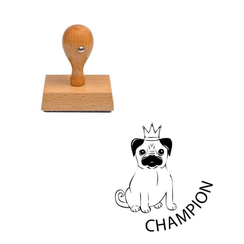 Tampon enseignant champion n°286 — vue 1