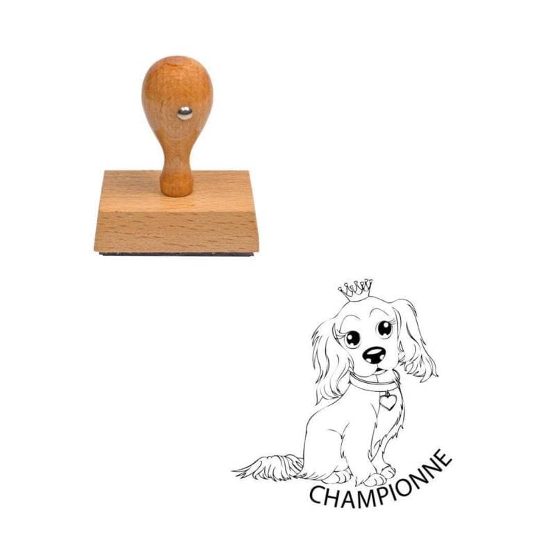 Tampon enseignant championne n°287 — vue 1