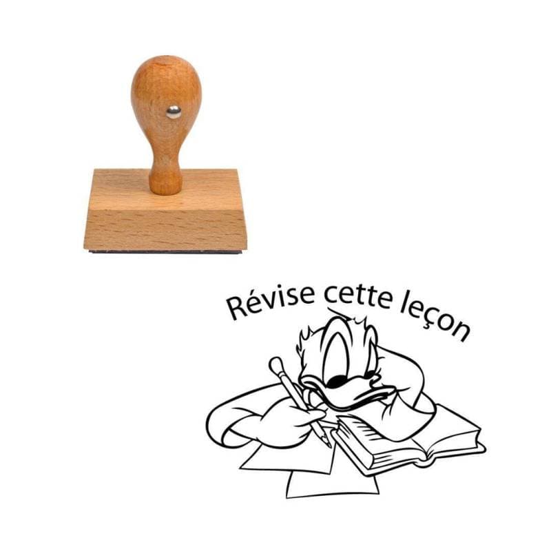 Tampon enseignant révise cette leçon n°309 — vue 1