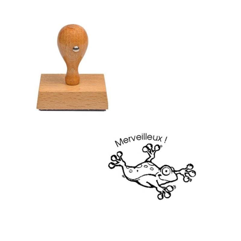 Tampon enseignant Merveilleux n°352 — vue 1