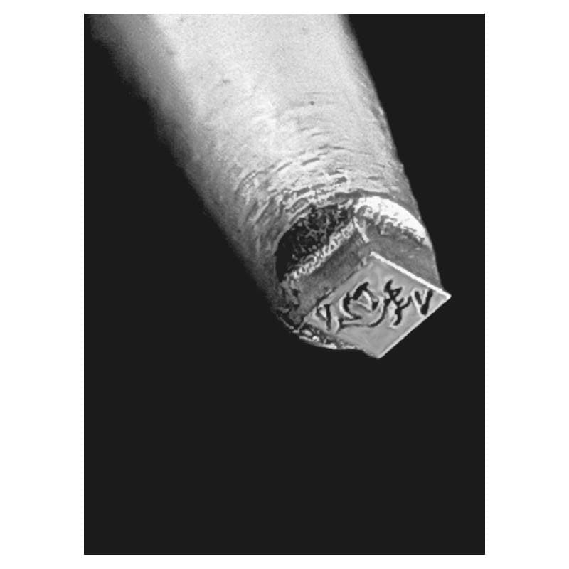Poinçon bijoux de maître — vue 1