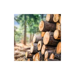 Encre pour marquer le bois 1L — vue 1